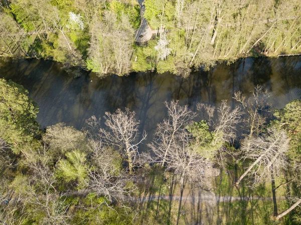 Orilla Del Lago Primavera Vista Aérea Del Dron —  Fotos de Stock