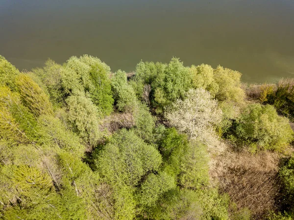 Seeufer Frühling Drohnenblick Aus Der Luft — Stockfoto