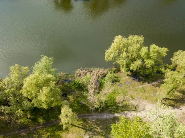 공원의 호수가 무인기 — 스톡 사진