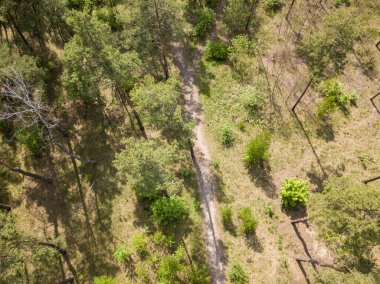 Baharda yeşil orman. Hava aracı görünümü.