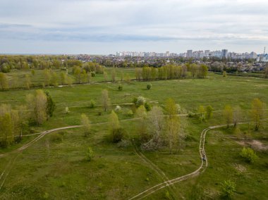 Baharda yeşil çalıların arasındaki toprak yol. Hava aracı görünümü.