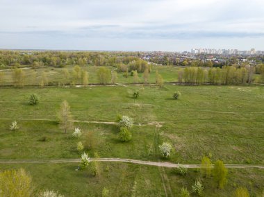 Baharda yeşil çalıların arasındaki toprak yol. Hava aracı görünümü.