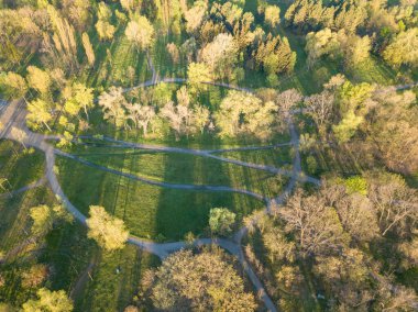 Şafak sökerken doğal şehir parkı. Ağaçların arasındaki toprak patikalar. Hava aracı görünümü.