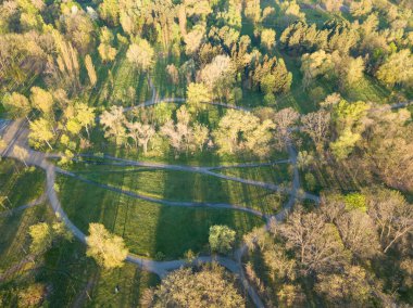 Şafak sökerken doğal şehir parkı. Ağaçların arasındaki toprak patikalar. Hava aracı görünümü.