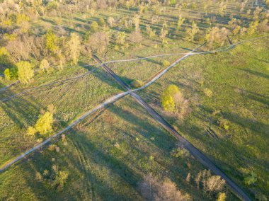 Şafak sökerken doğal şehir parkı. Ağaçların arasındaki toprak patikalar. Hava aracı görünümü.