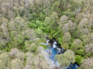 Baharda yeşil ağaçların arasında akarsu. Hava aracı görünümü.