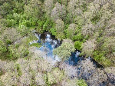 Baharda yeşil ağaçların arasında akarsu. Hava aracı görünümü.