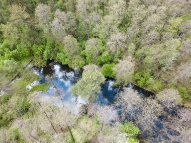 Baharda yeşil ağaçların arasında akarsu. Hava aracı görünümü.