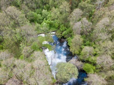 Baharda yeşil ağaçların arasında akarsu. Hava aracı görünümü.