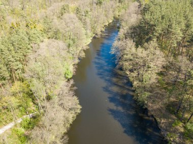 Baharda yeşil ağaçların arasında akarsu. Hava aracı görünümü.