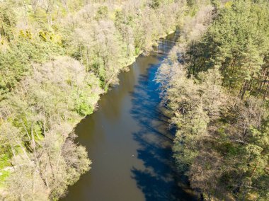 Baharda yeşil ağaçların arasında akarsu. Hava aracı görünümü.