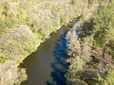 Baharda yeşil ağaçların arasında akarsu. Hava aracı görünümü.