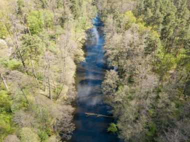Baharda yeşil ağaçların arasında akarsu. Hava aracı görünümü.