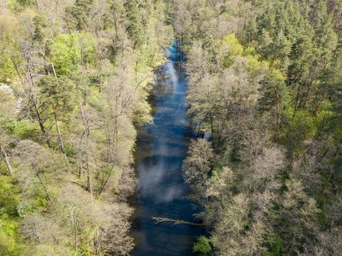 Baharda yeşil ağaçların arasında akarsu. Hava aracı görünümü.