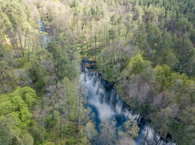 Baharda yeşil ağaçların arasında akarsu. Hava aracı görünümü.