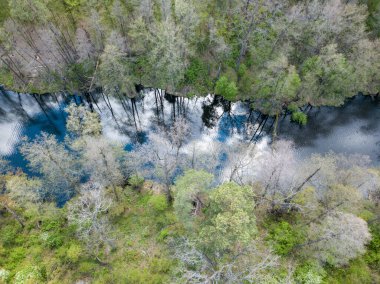 Baharda yeşil ağaçların arasında akarsu. Hava aracı görünümü.