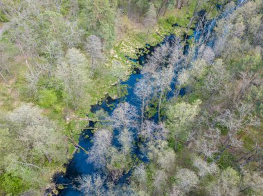 Baharda yeşil ağaçların arasında akarsu. Hava aracı görünümü.