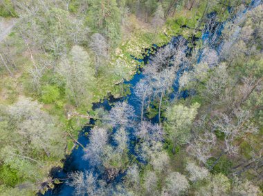 Baharda yeşil ağaçların arasında akarsu. Hava aracı görünümü.