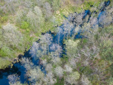 Baharda yeşil ağaçların arasında akarsu. Hava aracı görünümü.