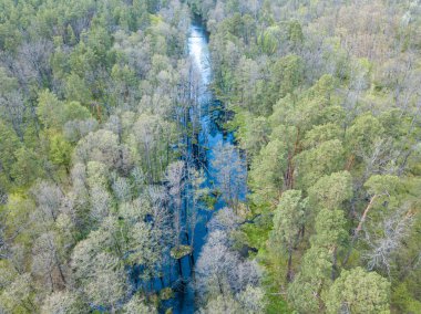Baharda yeşil ağaçların arasında akarsu. Hava aracı görünümü.