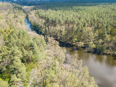 Baharda yeşil ağaçların arasında akarsu. Hava aracı görünümü.