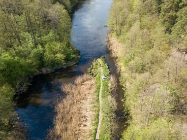 Baharda yeşil ağaçların arasında akarsu. Hava aracı görünümü.