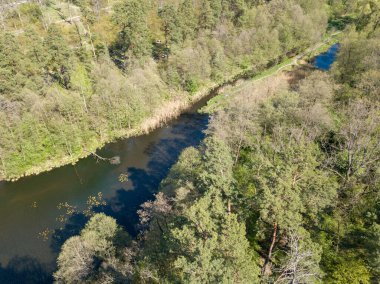 Baharda yeşil ağaçların arasında akarsu. Hava aracı görünümü.