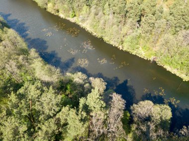 Baharda yeşil ağaçların arasında akarsu. Hava aracı görünümü.