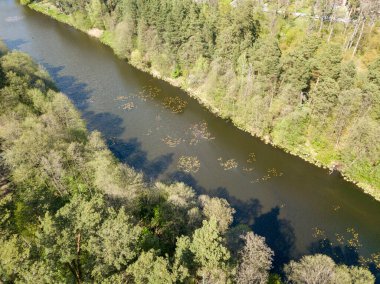 Baharda yeşil ağaçların arasında akarsu. Hava aracı görünümü.