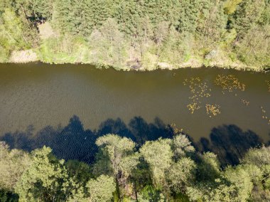 Baharda yeşil ağaçların arasında akarsu. Hava aracı görünümü.