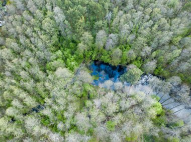 Baharda yeşil ağaçların arasında akarsu. Hava aracı görünümü.