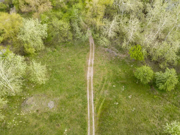 Estrada Terra Entre Arbustos Verdes Primavera Vista Aérea Drones — Fotografia de Stock