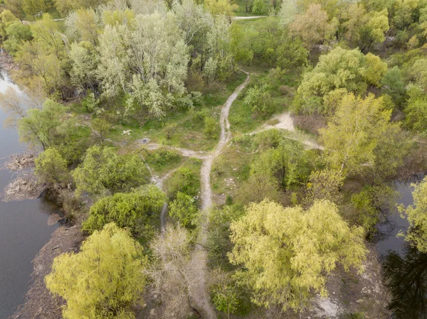 Estrada Terra Entre Arbustos Verdes Primavera Vista Aérea Drones — Fotografia de Stock