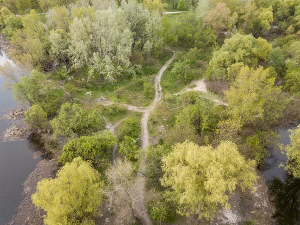 Baharda Yeşil Çalıların Arasındaki Toprak Yol Hava Aracı Görünümü — Stok fotoğraf