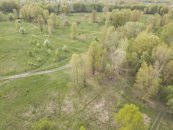 Грязная Дорога Среди Зеленых Кустов Весной Воздушный Беспилотник — стоковое фото