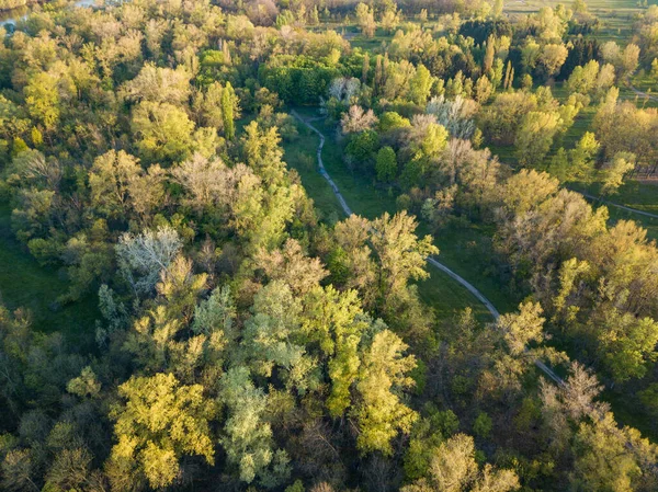 Přírodní Park Paprscích Úsvitu Špinavé Stezky Mezi Stromy Zobrazení Leteckých — Stock fotografie