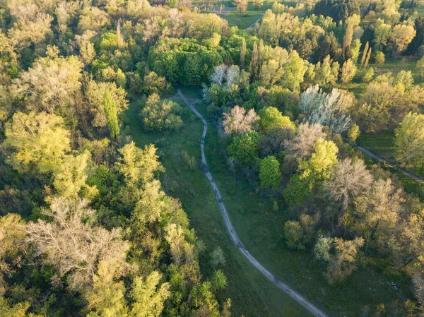 Natuurpark Stralen Van Dageraad Vuile Voetpaden Tussen Bomen Luchtdrone Zicht — Stockfoto