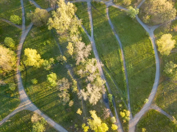 Parque Natural Cidade Nos Raios Amanhecer Caminhos Terra Entre Árvores — Fotografia de Stock