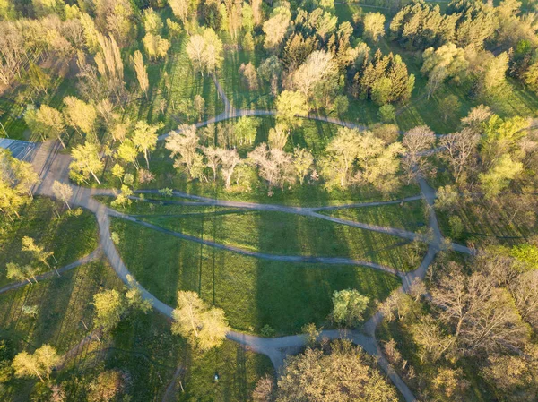 Přírodní Park Paprscích Úsvitu Špinavé Stezky Mezi Stromy Zobrazení Leteckých — Stock fotografie