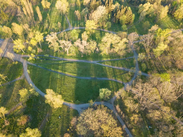 Přírodní Park Paprscích Úsvitu Špinavé Stezky Mezi Stromy Zobrazení Leteckých — Stock fotografie