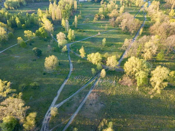 Naturstadspark Gryningens Strålar Smutsiga Stigar Bland Träden Flygdrönare — Stockfoto