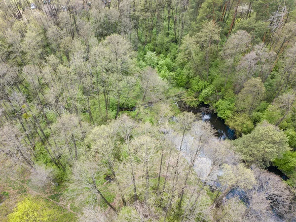 Baharda yeşil ağaçların arasında akarsu. Hava aracı görünümü.