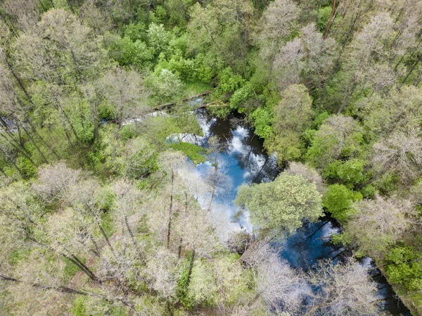 Arroyo Entre Árboles Verdes Primavera Vista Aérea Del Dron —  Fotos de Stock