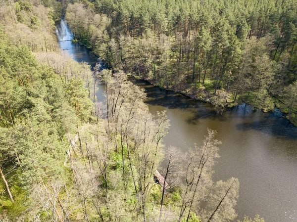 Potok Mezi Zelenými Stromy Jaře Zobrazení Leteckých Dronů — Stock fotografie