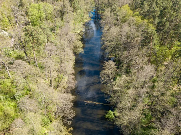 Baharda yeşil ağaçların arasında akarsu. Hava aracı görünümü.