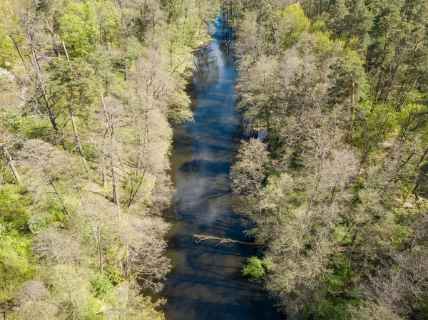 Baharda yeşil ağaçların arasında akarsu. Hava aracı görünümü.