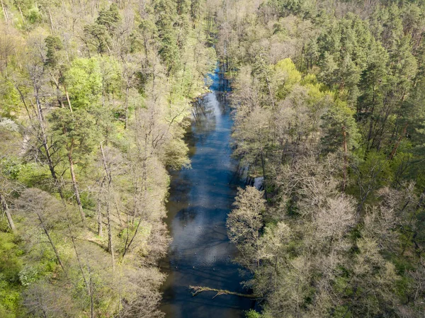 Baharda yeşil ağaçların arasında akarsu. Hava aracı görünümü.