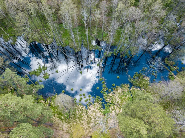 溪流在绿树间 空中无人驾驶飞机视图 — 图库照片