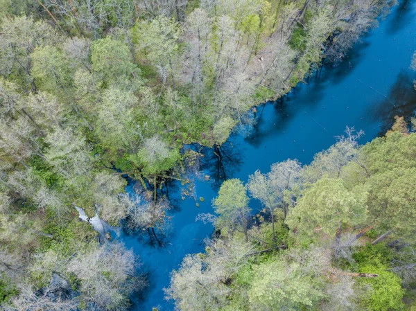 Baharda yeşil ağaçların arasında akarsu. Hava aracı görünümü.