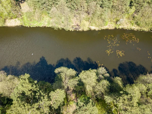 Arroyo Entre Árboles Verdes Primavera Vista Aérea Del Dron —  Fotos de Stock